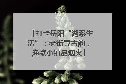 打卡岳阳“湖系生活”：老街寻古韵，渔歌小镇品烟火