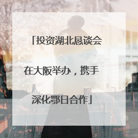 投资湖北恳谈会在大阪举办，携手深化鄂日合作