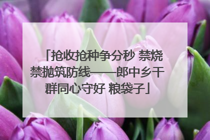 抢收抢种争分秒 禁烧禁抛筑防线——郎中乡干群同心守好 粮袋子