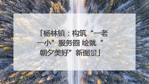 杨林镇：构筑“一老一小”服务圈 绘就“朝夕美好”新图景