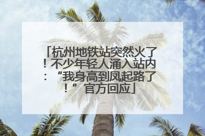 杭州地铁站突然火了！不少年轻人涌入站内：“我身高到凤起路了！”官方回应
