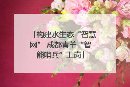 构建水生态“智慧网” 成都青羊“智能哨兵”上岗