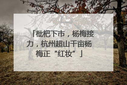 枇杷下市，杨梅接力，杭州超山千亩杨梅正“红妆”