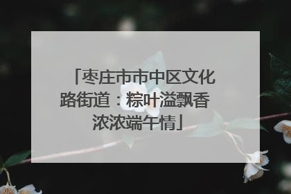 枣庄市市中区文化路街道：粽叶溢飘香 浓浓端午情