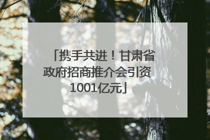 携手共进！甘肃省政府招商推介会引资1001亿元