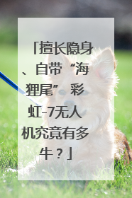 擅长隐身、自带“海狸尾” 彩虹-7无人机究竟有多牛？