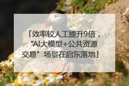 效率较人工提升9倍，“AI大模型+公共资源交易”场景在启东落地