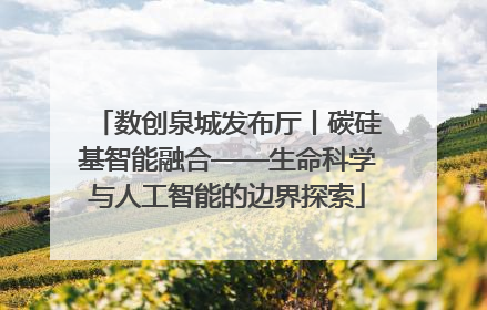 数创泉城发布厅丨碳硅基智能融合——生命科学与人工智能的边界探索