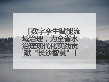 数字孪生赋能流域治理，为全省水治理现代化实践贡献“长沙智慧”