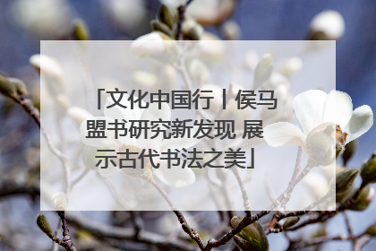 文化中国行丨侯马盟书研究新发现 展示古代书法之美