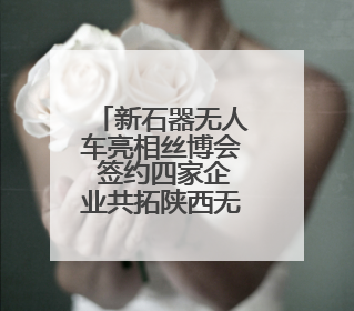 新石器无人车亮相丝博会 签约四家企业共拓陕西无人配送市场