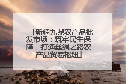 新疆九鼎农产品批发市场：筑牢民生保障，打通丝绸之路农产品贸易枢纽