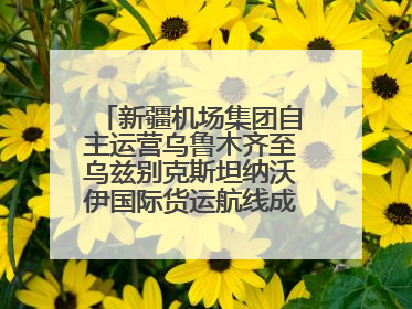 新疆机场集团自主运营乌鲁木齐至乌兹别克斯坦纳沃伊国际货运航线成功首航