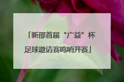 新邵首届“广益”杯足球邀请赛鸣哨开赛