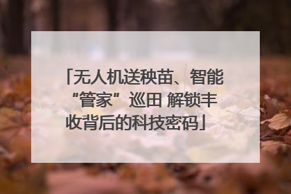 无人机送秧苗、智能“管家”巡田 解锁丰收背后的科技密码