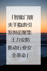 智能门锁夹手隐患引发舆论聚集 王力安防推动行业安全革命