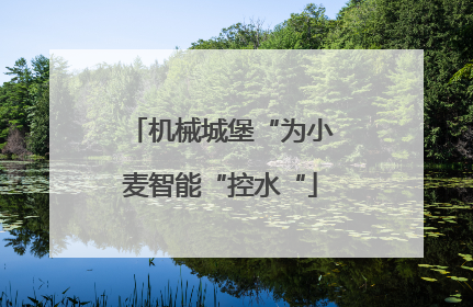 机械城堡“为小麦智能“控水“