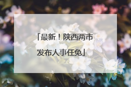 最新！陕西两市发布人事任免