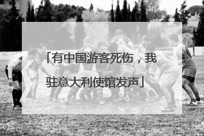 有中国游客死伤，我驻意大利使馆发声