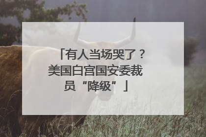 有人当场哭了？美国白宫国安委裁员“降级”