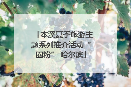 本溪夏季旅游主题系列推介活动“圈粉” 哈尔滨