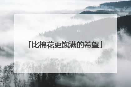 比棉花更饱满的希望