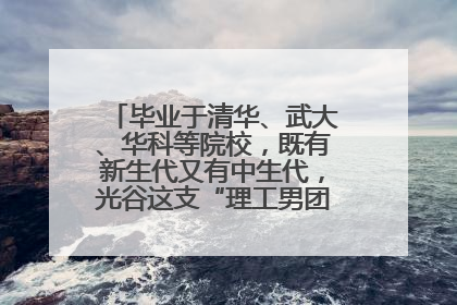 毕业于清华、武大、华科等院校，既有新生代又有中生代，光谷这支“理工男团”为何“出道”？