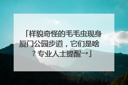 样貌奇怪的毛毛虫现身厦门公园步道，它们是啥？专业人士提醒→