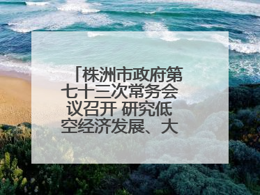 株洲市政府第七十三次常务会议召开 研究低空经济发展、大抓落实等工作