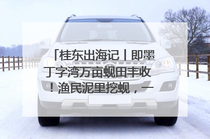 桂东出海记丨即墨丁字湾万亩蚬田丰收！渔民泥里挖蚬，一天上岸过千斤