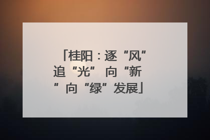 桂阳：逐“风”追“光” 向“新”向“绿”发展