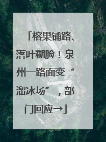 榕果铺路、落叶糊脸！泉州一路面变“溜冰场”，部门回应→