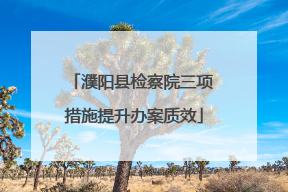 濮阳县检察院三项措施提升办案质效