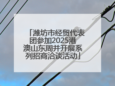 潍坊市经贸代表团参加2025港澳山东周并开展系列招商洽谈活动