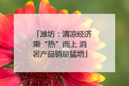 潍坊：清凉经济乘“热”而上 消暑产品销量猛增