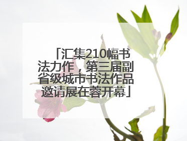 汇集210幅书法力作，第三届副省级城市书法作品邀请展在蓉开幕