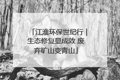 江淮环保世纪行｜生态修复显成效 废弃矿山变青山