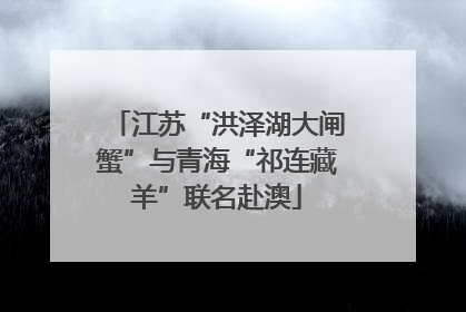 江苏“洪泽湖大闸蟹”与青海“祁连藏羊”联名赴澳