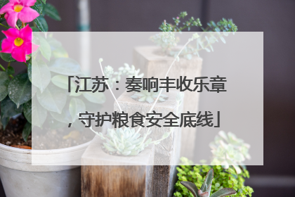江苏：奏响丰收乐章，守护粮食安全底线
