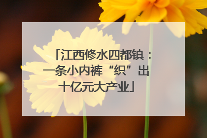 江西修水四都镇：一条小内裤“织”出十亿元大产业