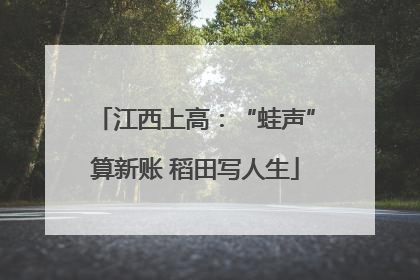 江西上高：“蛙声”算新账 稻田写人生