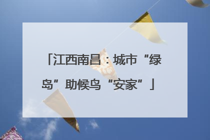江西南昌：城市“绿岛”助候鸟“安家”