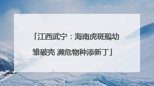 江西武宁：海南虎斑鳽幼雏破壳 濒危物种添新丁