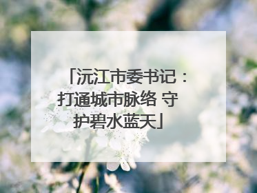 沅江市委书记：打通城市脉络 守护碧水蓝天