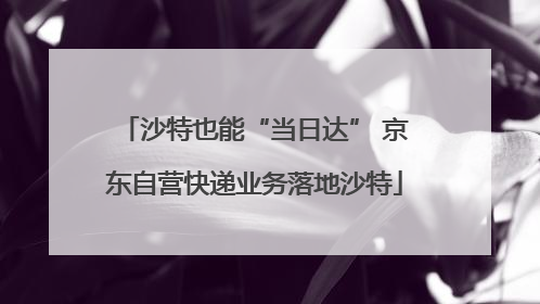 沙特也能“当日达” 京东自营快递业务落地沙特