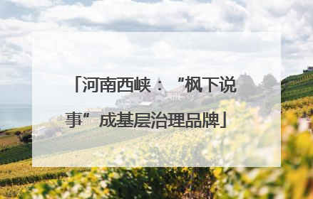 河南西峡：“枫下说事”成基层治理品牌