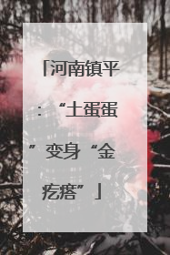 河南镇平：“土蛋蛋”变身“金疙瘩”