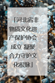 河北省非物质文化遗产保护协会成立 凝聚合力守护文化根脉
