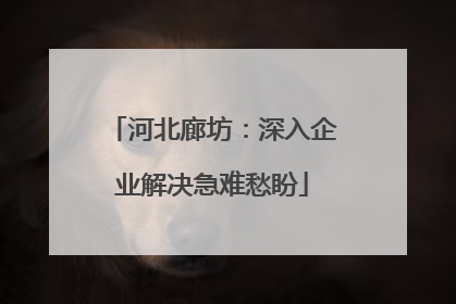 河北廊坊：深入企业解决急难愁盼