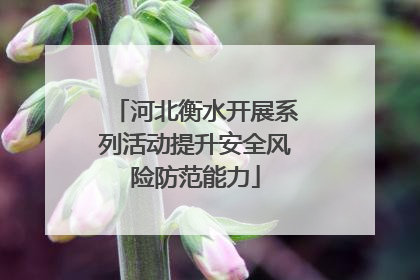 河北衡水开展系列活动提升安全风险防范能力